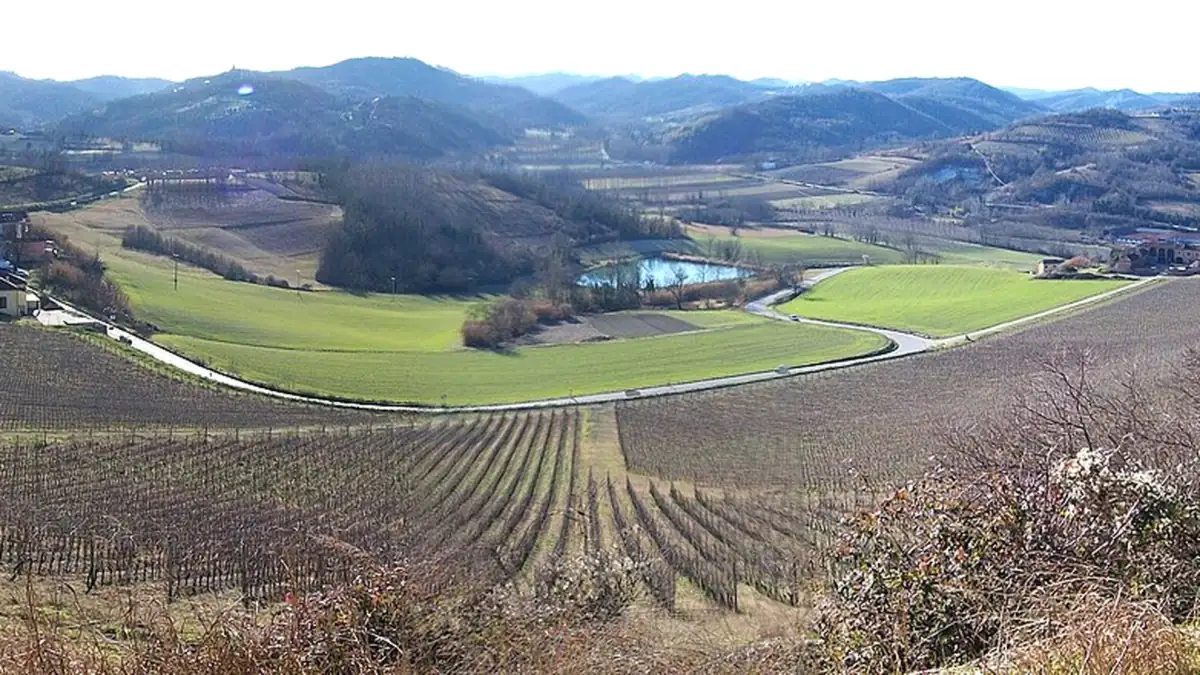 Gabiano: Le vigne del Castello di Gabiano e la valle in inverno