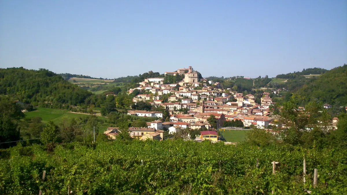Ottiglio: Il paese sulla collina visto dai vigneti