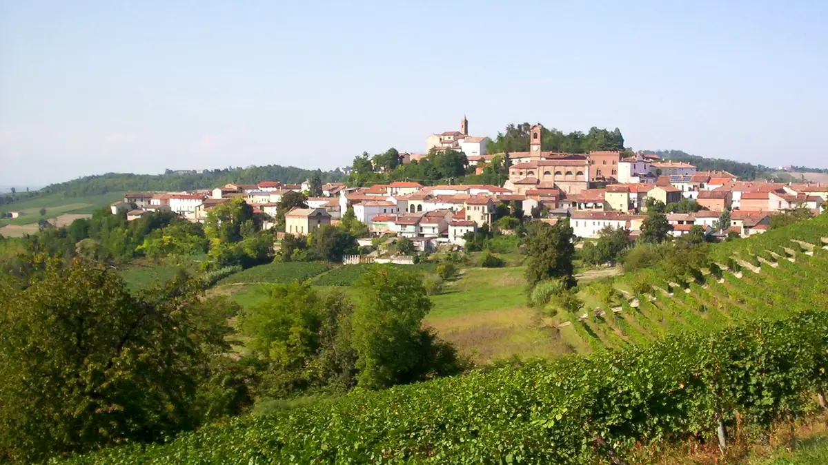 Sala Monferrato: Il paese sulla collina visto dai vigneti